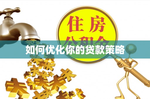 伊犁哈萨克如何优化你的贷款策略